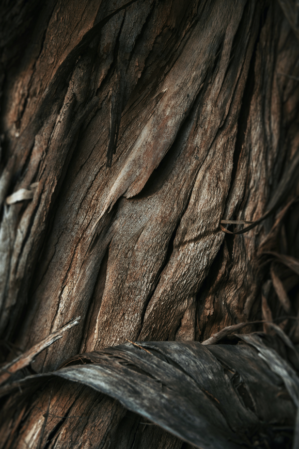Vanilla Sandalwood 100 ml Room Spray