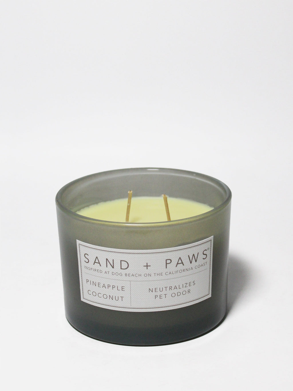 Sand + Paws Pineapple Coconut 12 oz scented candle